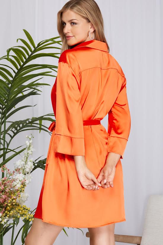 Whispers Shirt Dress - Image 4